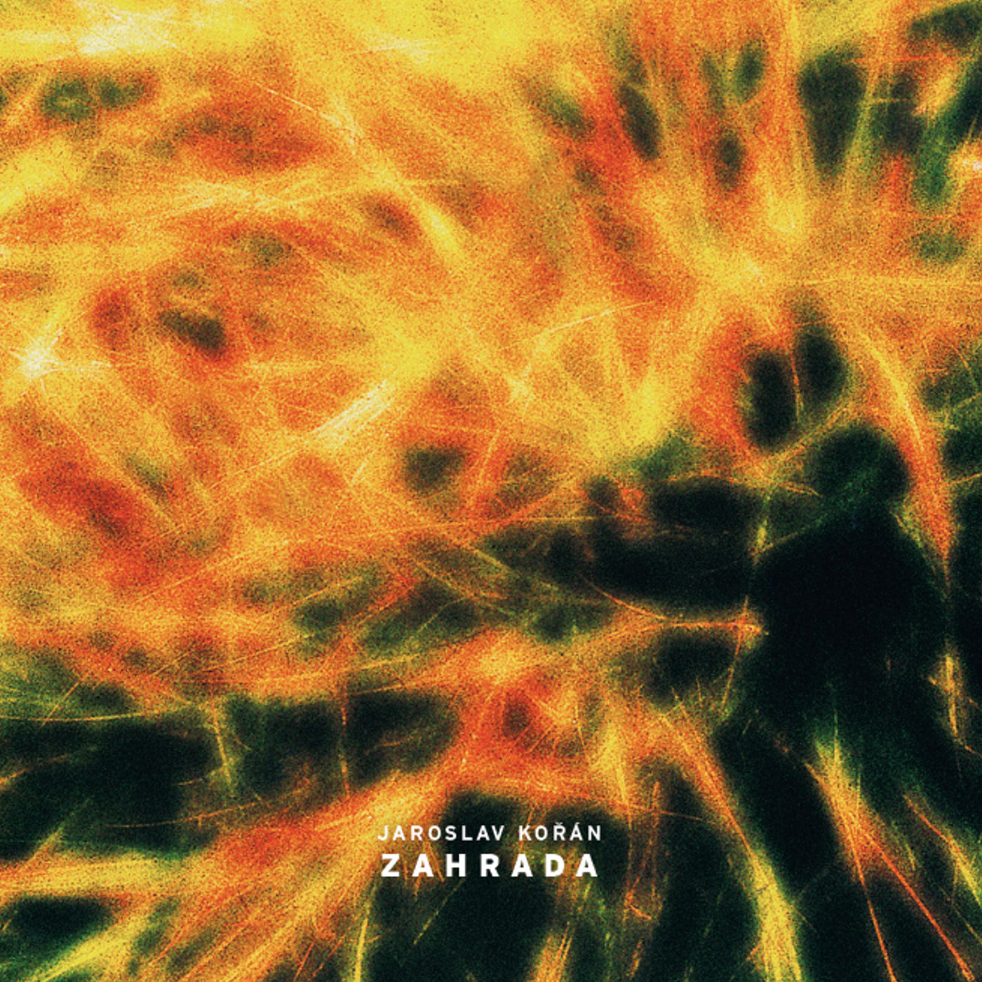 Jaroslav Kořán — Zahrada cover